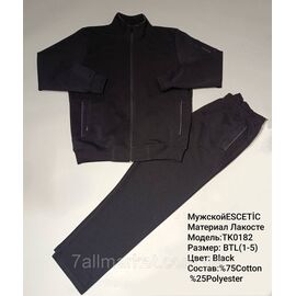 Фотография Спортивный мужской костюм ESCETIC батал  размеры 54-62 (3цв) "REMAIN" купить недорого от прямого поставщика