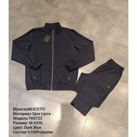Фотография Костюм спортивный мужской 0123 navy р.M-3XL "REMAIN" недорого оптом от прямого поставщика