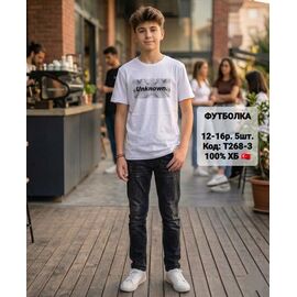 Фотография Футболка детская на мальчика T268-3 white р.152-176 "iBamBino" недорого оптом от прямого поставщика
