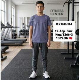 Фотография Футболка детская на мальчика T266-3 grey р.152-176 "iBamBino" недорого оптом от прямого поставщика