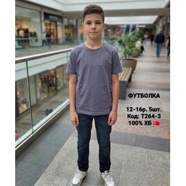 Фотография Футболка детская на мальчика T264-3 grey р.152-176 "iBamBino" недорого оптом от прямого поставщика