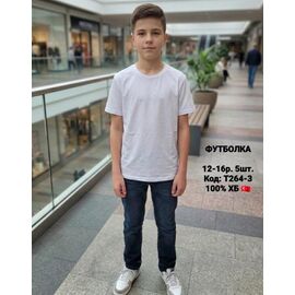 Фотография Футболка детская на мальчика T264-3 white р.152-176 "iBamBino" недорого оптом от прямого поставщика