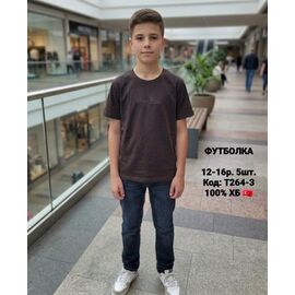 Фотография Футболка детская на мальчика T264-3 brown р.152-176 "iBamBino" недорого оптом от прямого поставщика