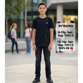Фотография Футболка детская на мальчика T261-2 black р.8-12 "iBamBino" недорого оптом от прямого поставщика