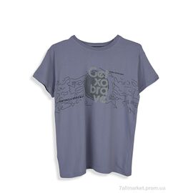 Фотография Футболка детская Лето 4404-8 grey (6 шт. р.сетка 128-176) "Мир" недорого оптом от прямого поставщика