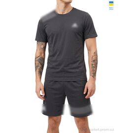 Фотография Спортивный костюм мужской Лето 11AD сірий (5 шт. р.сетка 46-54) "Sport style" недорого оптом от прямого поставщика