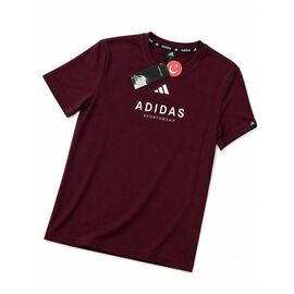 Фотография Футболка мужская 14392 wine р.S-2XL "Alex Clothes" недорого оптом от прямого поставщика