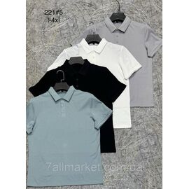 Фотография Футболка-поло мужская молодёжная р-ры L-4XL (4цв) "PROSTOMEN" недорого оптом от прямого поставщика