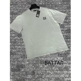 Футболка чоловіча F1473 l.grey р.3XL-4XL "F.T.H" недорого оптом від прямого постачальника