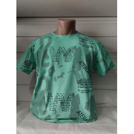 Футболка чоловіча 1864 mint р.S-2XL "RING" недорого оптом від прямого постачальника
