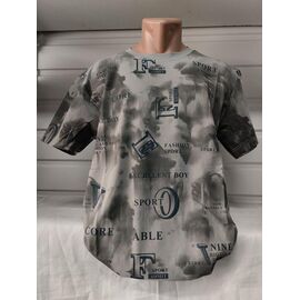 Футболка чоловіча 1873 grey р.2XL-6XL "RING" недорого оптом від прямого постачальника