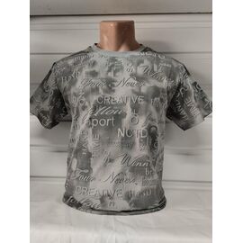 Футболка чоловіча 1880 grey р.S-2XL "RING" недорого оптом від прямого постачальника