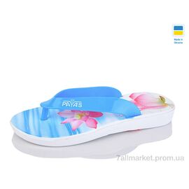 Фотография Вьетнамки женские Лето В'єтнамки N2 блакитний (8 пар р.36-41) "Lot Shoes" недорого оптом от прямого поставщика