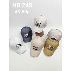 Фотография Кепка детская летняя на мальчика NB248 mix р.48-50 "SELFI" недорого оптом от прямого поставщика