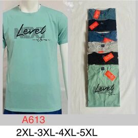Фотография Футболка мужская A613 mix р.2XL-5XL "Ayden" недорого оптом от прямого поставщика