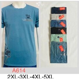 Фотография Футболка мужская A614 mix р.2XL-5XL "Ayden" недорого оптом от прямого поставщика