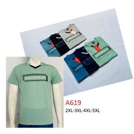 Фотография Футболка мужская A619 mix р.2XL-5XL "Ayden" недорого оптом от прямого поставщика