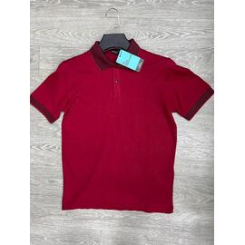 Фотография Футболка мужская AD1865 wine р.S-2XL "Ayden" недорого оптом от прямого поставщика