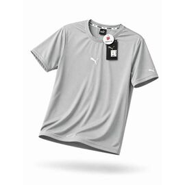 Фотография Футболка мужская 14565 grey р.S-2XL "Alex Clothes" недорого оптом от прямого поставщика