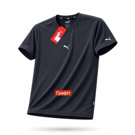 Фотография Футболка мужская 14571 black р.S-2XL "Alex Clothes" недорого оптом от прямого поставщика