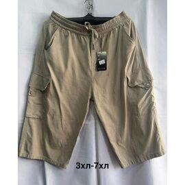 Бриджі чоловічі 3053 beige р.3XL-7XL "WELL" недорого оптом від прямого постачальника