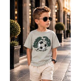 Фотография Футболка детская на мальчика 3708 l.grey р.110-128 "Major" недорого оптом от прямого поставщика