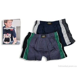 Труси дитячі Весна/осінь 9003 mix (12 шт. р.сіткаXL-3XL) "Textile" недорого оптом від прямого постачальника