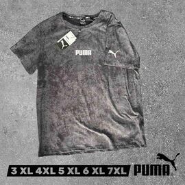 Фотография Футболка мужская 7694 grey р.3XL-7XL "ROLADA" недорого оптом от прямого поставщика