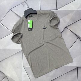 Фотография Футболка мужская 67580 grey р.S-2XL "MACCALI" недорого оптом от прямого поставщика