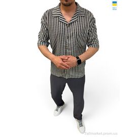 Спортивний костюм чоловічий Літо 535 графіт (3 шт. р.сітка46-56) "Alisa Brand" недорого оптом від прямого постачальника