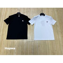 Футболка чоловіча NW1782 white р.L-4XL "Navas" недорого оптом від прямого постачальника