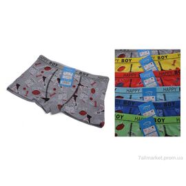 Фотография Трусы детские Весна/осень Z02109 mix (6 шт. р.сетка S-XL) "Look&Buy Clothes" недорого оптом от прямого поставщика