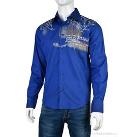 Чоловіча сорочка Весна/осінь JI0931 (12527) blue (12 шт. р.сіткаS-2XL) "Obuvok" недорого оптом від прямого постачальника