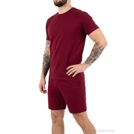 Шорти чоловічі Літо 053 бордо (5 шт. р.сітка2XL-6XL) "Sport style" недорого оптом від прямого постачальника