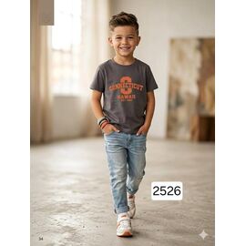 Фотография Футболка детская на мальчика 2526 grey р.2-6 "Фунтик" недорого оптом от прямого поставщика