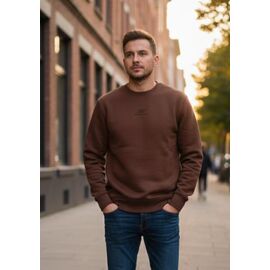 Фотография Свитер мужской DL1164 brown р.46-54 "Delviago" недорого оптом от прямого поставщика
