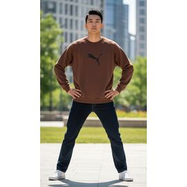 Светр чоловічий S3678 brown р.M-3XL "Shon" недорого оптом від прямого постачальника