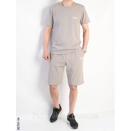 Костюм чоловічий футболка і шорти турецька бавовна норма 48,50,52,54 (4кв) "NOWEMBER"