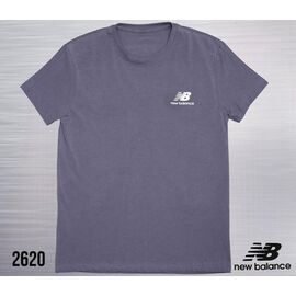 Футболка чоловіча AZ801-2620 grey р.S-2XL "REMAIN" недорого оптом від прямого постачальника