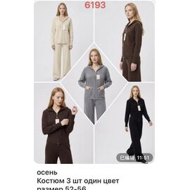 Костюм спортивний жіночий теплий 6193 grey р.52-56 "VERJINIA" недорого оптом від прямого постачальника