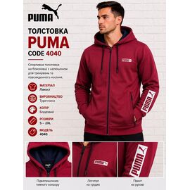 Фотография Кофта спортивная мужская AZ1121-4040 wine р.S-2XL "REMAIN" недорого оптом от прямого поставщика