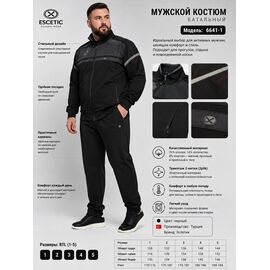 Костюм спортивний чоловічий AZ921-6641-1 black р.54-62 "REMAIN" недорого оптом від прямого постачальника