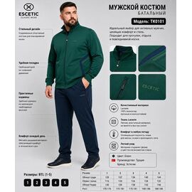 Костюм спортивний чоловічий AZ923-0101 green р.54-62 "REMAIN" недорого оптом від прямого постачальника