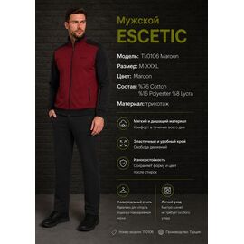 Костюм спортивний чоловічий AZ932-0106 wine р.M-3XL "REMAIN" недорого оптом від прямого постачальника