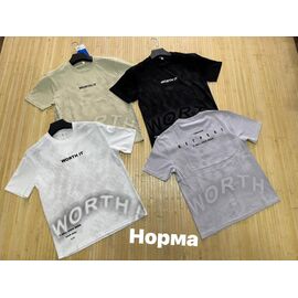 Футболка чоловіча NW1972 grey р.L-3XL "Navas" недорого оптом від прямого постачальника