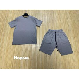 Костюм чоловічий NW2035 grey р.M-2XL "Navas" недорого оптом від прямого постачальника
