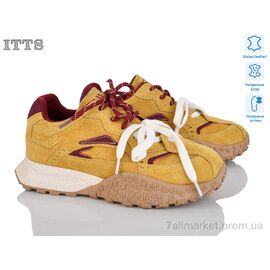 Фотография Кроссовки женские модные зима BSDY25-3 yellow (6 пар р.35-40) "ITTS" недорого оптом от прямого поставщика