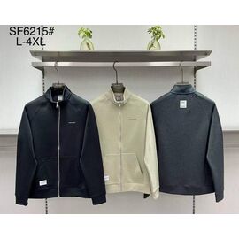 Кофта спортивна чоловіча SF6215 black р.L-4XL "F.T.H" недорого оптом від прямого постачальника