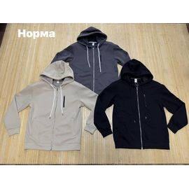 Фотография Кофта спортивная мужская NV2233 beige р.L-4XL "Navas" недорого оптом от прямого поставщика