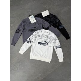 Фотография Свитер мужской F1641 grey р.S-2XL "F.T.H" недорого оптом от прямого поставщика